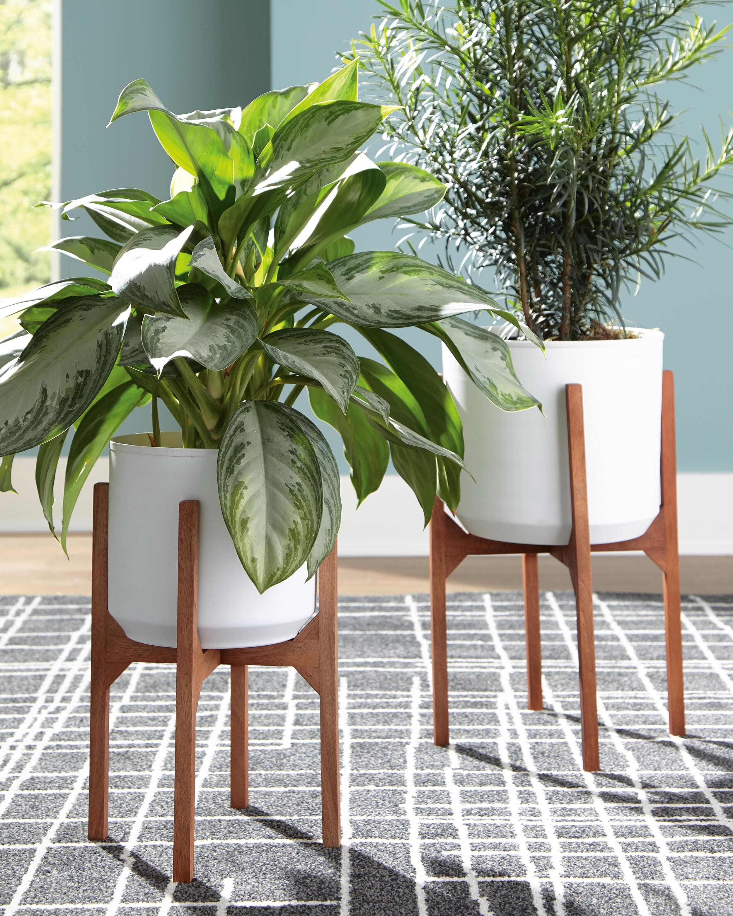 Dorcey Planter (set of 2)
