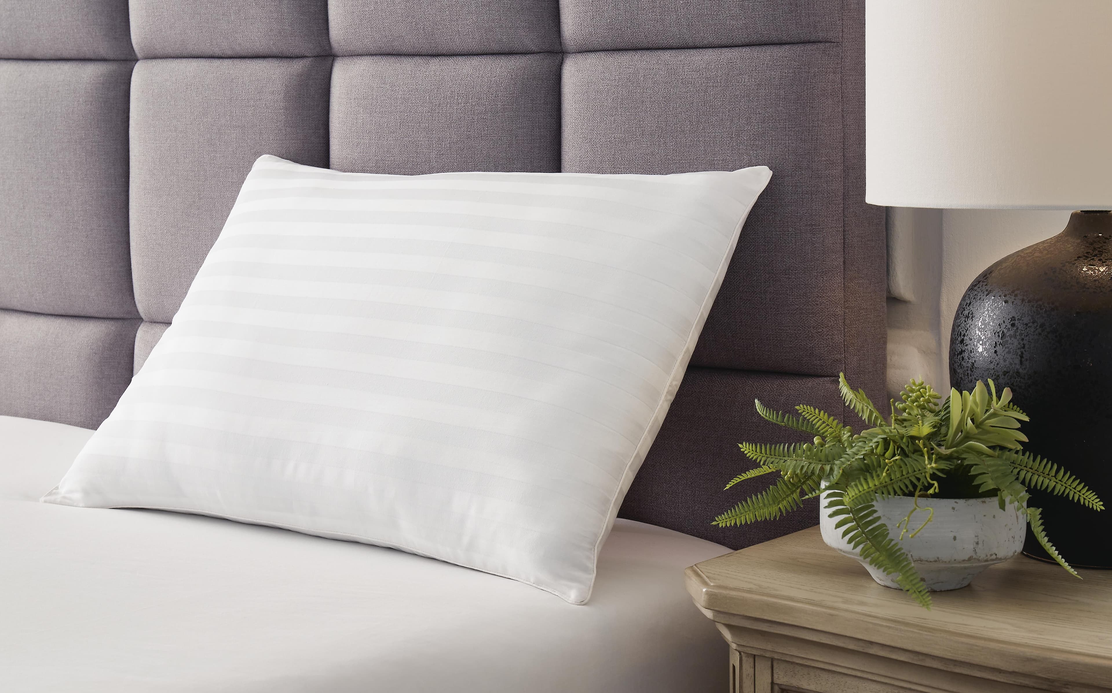 Zephyr 2.0 Cotton Pillow (set of 2)